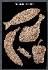 Ϥ