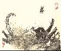Ϥ