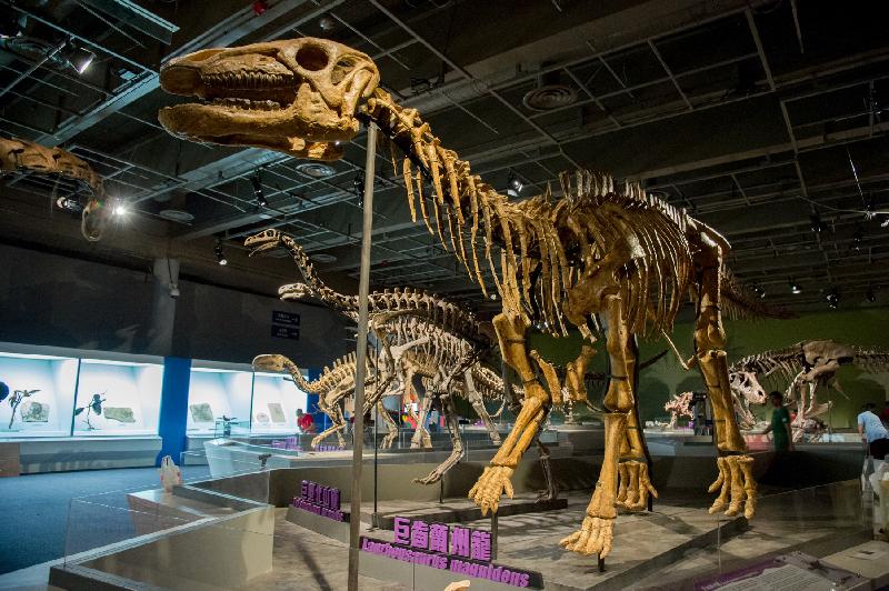 Hong Kong's largest dinosaur exhibition unveiled today at Hong Kong
