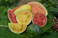 The Agriculture, Fisheries and Conservation Department today (July 9) introduced four varieties of organic watermelon, namely Diana, yellow orchid, yellow siren and super sweet black angel 168.