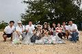 Volunteers collect rubbish on the beach.
