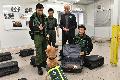 Mr Wong (second right) observes a QDD detecting ivory hidden in a luggage. The QDD sits beside the luggage while it is inspected by an enforcement officer. 