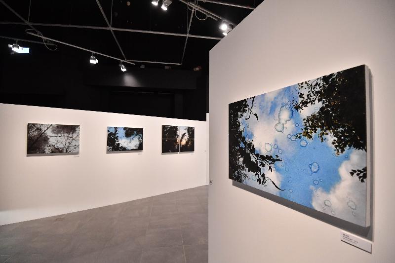 The "Hong Kong International Photo Festival 2016 - What Do You Want For Tomorrow?" exhibition will be held at the Hong Kong Heritage Museum from tomorrow (August 10) to September 26. Photo shows the artwork "Upward, Downward Glances: Visions of the Earth and Sky" by Cho Yeou-jui. The artist copies photos of nature in an objective manner by converting photographed images into paintings.