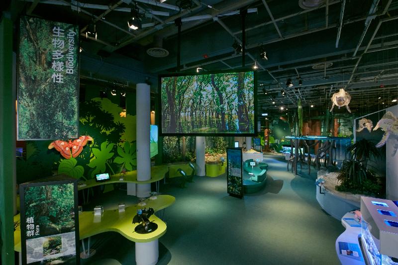 The Biodiversity Gallery, a new permanent exhibition gallery at the Hong Kong Science Museum, opened today (September 2). The gallery's "Local Biodiversity" exhibition area shows woodlands in Hong Kong and nesting sites of green turtles, giving visitors an impression of the rich and beautiful environment which exists in Hong Kong.