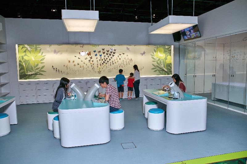 The Biodiversity Gallery, a new permanent exhibition gallery at the Hong Kong Science Museum, opened today (September 2). Microscopes and other equipment are available in the gallery's "Natural Lab" exhibition area to give visitors the ability to view living and non-living specimens of difference sizes.