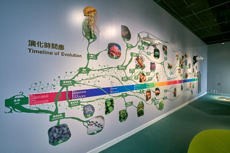 香港科學館於今日（九月二日）起推出全新常設展覽－－「生物多樣性展廳」，當中的「時光變遷」展區牆壁上長達十二米的「演化時間廊」壁畫，除展示生命之樹，亦描述長久以來物種之間的演化關係。