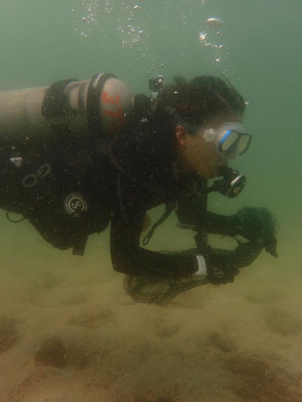 The Agriculture, Fisheries and Conservation Department and the Hong Kong Underwater Association jointly organised a coastal clean-up day at Sharp Island, Sai Kung today (September 17). Picture shows a volunteer diver picking up rubbish from the seabed.