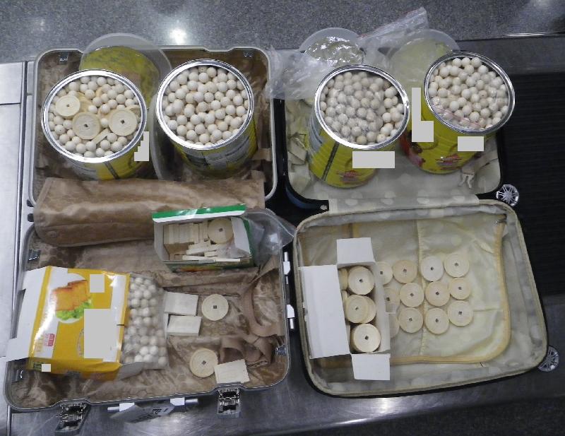香港海关今日（十月十六日）在香港国际机场检获约二十九公斤怀疑象牙制品。图示海关人员检获的怀疑象牙制品。