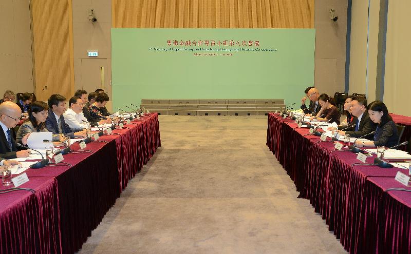 The Permanent Secretary for Financial Services and the Treasury (Financial Services), Mr Andrew Wong (second right), and the Director General of the Financial Affairs Office, People's Government of Guangdong Province, Mr Xiao Xue (third left), co-chair the eighth meeting of the Expert Group on Hong Kong-Guangdong Financial Co-operation today (November 1).