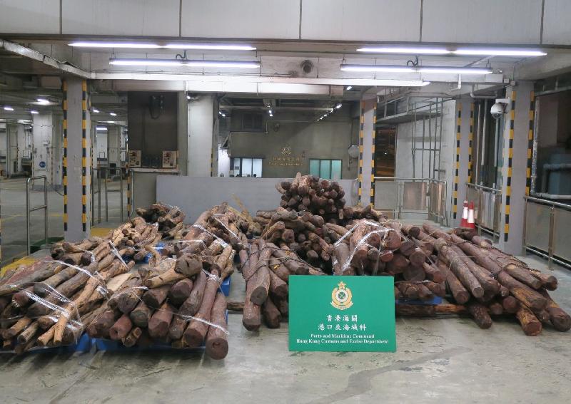 香港海关昨日（十月三十一日）在葵涌海关大楼验货场一个货柜内检获约一万二千二百公斤怀疑属于濒危物种的紫檀木材，总值约八百五十万元。