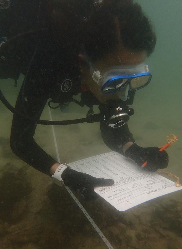 A diver participating in the Reef Check records indicator species, coral coverage and the health status of the coral.