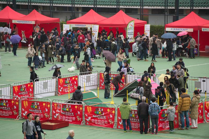 The Agriculture, Fisheries and Conservation Department and a number of animal welfare organisations will jointly hold the "Pets with Love" Dog Adoption Carnival this weekend (December 17 and 18). There will also be game booths and a dog playground. 