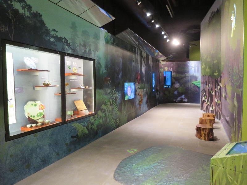 Hong Kong Wetland Park is holding the Bird Watching Festival from today (December 16) until April 2017. The newly renovated Inspiration Zone of the Human Culture Gallery in the Park features exhibits on the diversity of human history and culture. 