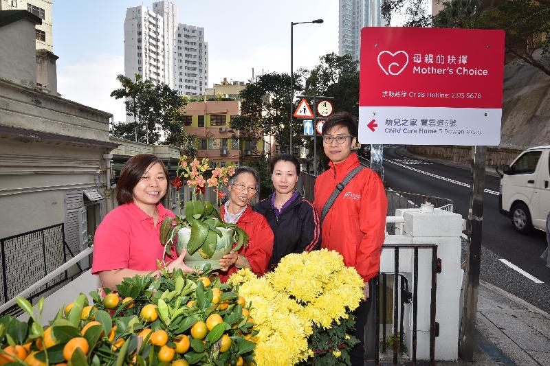 Members of the Food and Environmental Hygiene Department's volunteer teams deliver pot plants donated by a vendor in a Lunar New Year Fair to a childcare home today (January 28).