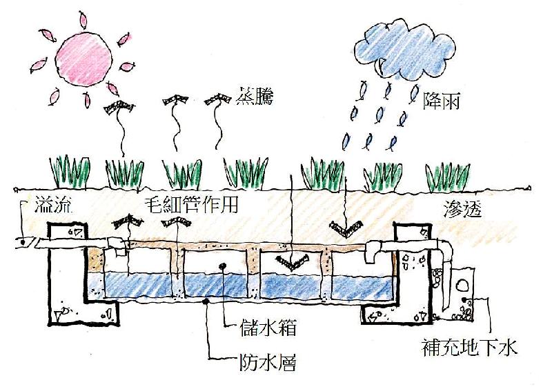 香港房屋委員會致力研發新措施，以增加轄下公營房屋項目的可持續發展能力，其中一項是在合適的新公營房屋項目園圃，應用無須使用食水的新式灌溉系統。圖示「零灌溉系統」的運作。