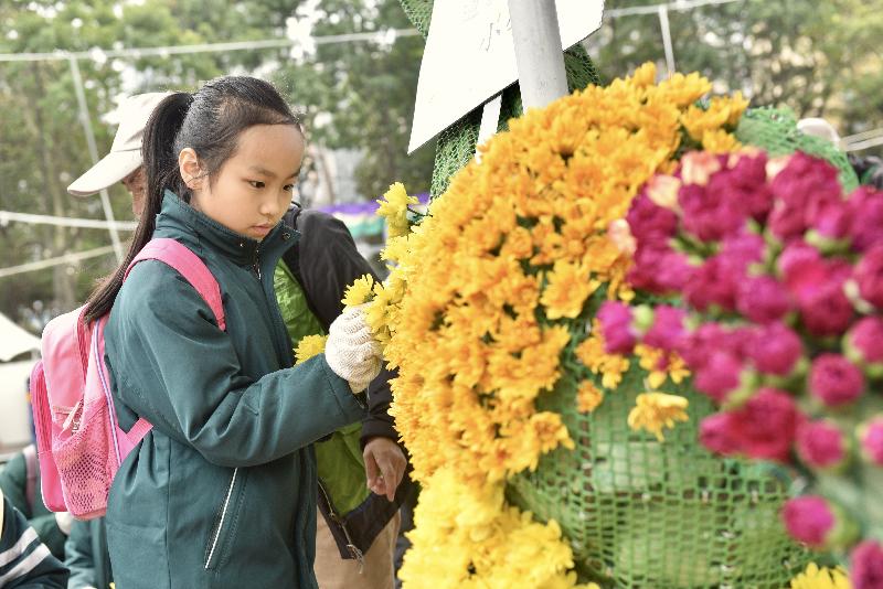 超过一千一百名来自三十六间学校的学生，今日（二月二十五日）于维多利亚公园协助镶嵌大型花坛「游园乐」。花坛展示游乐场内传统机动游戏的造型，唤起游人的快乐回忆。花坛会于即将举行的香港花卉展览中展出。