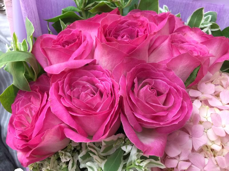 今年香港花卉展览将于三月十日至十九日在维多利亚公园举行，以「爱‧赏花」为主题，主题花是玫瑰。