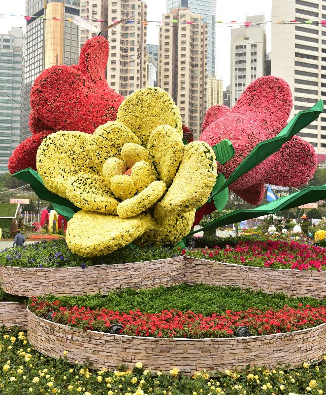 二零一七年香港花卉展覽明日（三月十日）至三月十九日在維多利亞公園舉行。康樂及文化事務署的大型展品「瑰麗‧情真」以四朵玫瑰花造型雕塑為中心，從不同角度展現玫瑰浪漫、高貴及美麗的面貌。