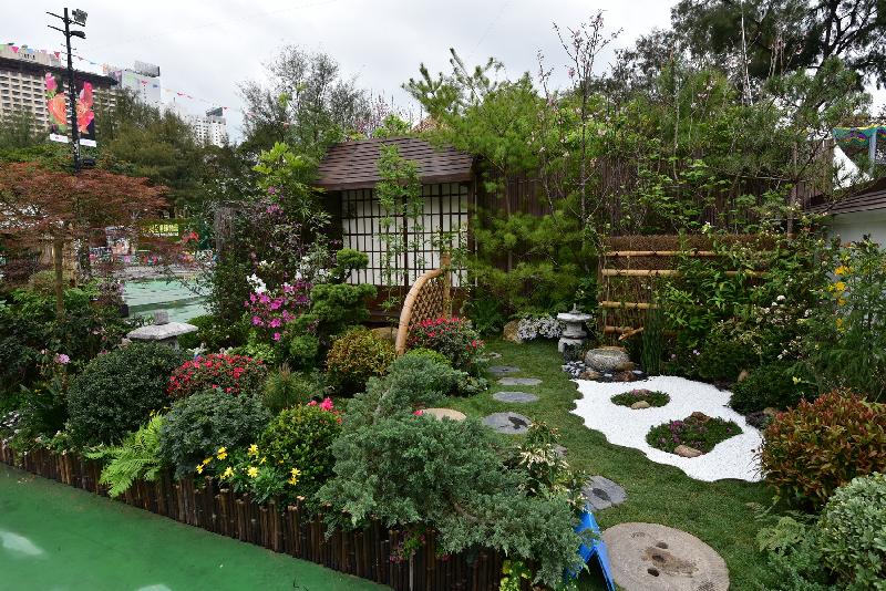 The winners of the plant exhibit competition, which is one of the major activities of the Hong Kong Flower Show, were announced today (March 11). Photo shows the winning garden plot of the Leisure and Cultural Services Department Oriental Style Garden Plot Competition.
