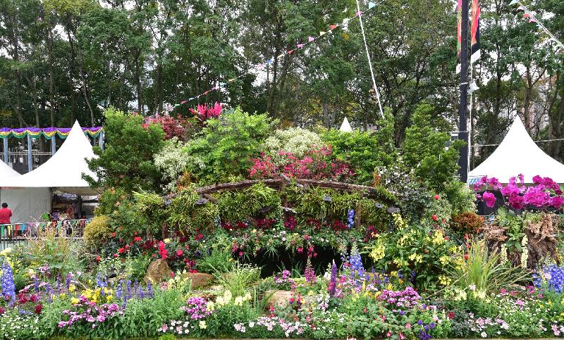 The Hong Kong Flower Show 2017 is currently running at Victoria Park. Exhibits include the winning entries of the Leisure and Cultural Services Department's Oriental Style Garden Plot Competition and Western Style Garden Plot Competition. The winner of the Environmental Cup for a Western Style Garden was Tuen Mun District's "Paradise of Love".