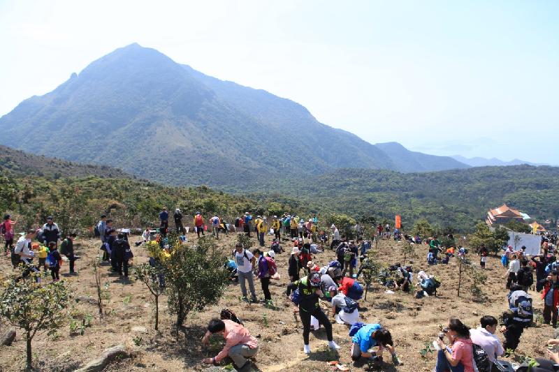 The Agriculture, Fisheries and Conservation Department announced today (March 17) that it will co-organise the Country Parks Hiking and Planting Day with Friends of the Country Parks on April 9 and 23, aiming to enhance public awareness of nature conservation and tree preservation.