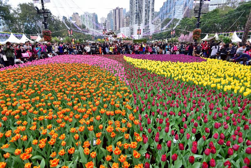 香港花卉展覽於星期日（三月十九日）結束，多個繽紛悅目的園林造景成為遊人的拍照熱點，包括由約一萬四千株色彩絢麗的鬱金香鋪設而成的花海。
