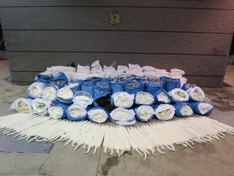 香港海关昨日（三月二十九日）在大屿山南面水域检获约九百一十四公斤动物皮草，估计市值约四百一十万元。