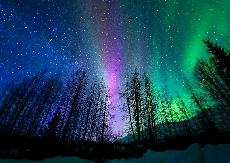 The Hong Kong Space Museum's new sky show, "KAGAYA's Aurora", which reveals auroras' amazing display of colour and light to audiences using advanced filming techniques, will be launched tomorrow (May 1). Auroras like the one pictured usually glow at a height over 90 kilometres and can reach up to 400 kilometres above the Earth, where the International Space Station orbits. 