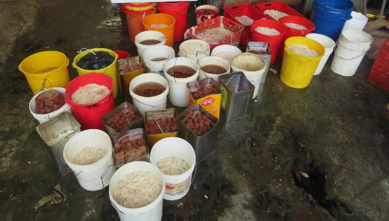 The Food and Environmental Hygiene Department raided an unlicensed food factory on Pak Sha Shan Road, Yuen Long, today (May 2). Photo shows the seized pig intestines and blood curd.