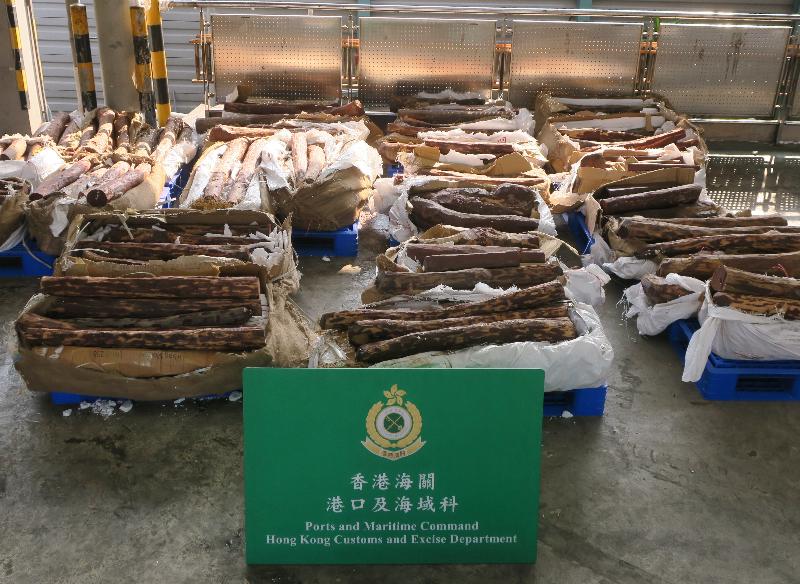 Hong Kong Customs today (May 5) seized about 1 415 kilograms of suspected red sandalwood from a container at the Kwai Chung Customhouse Cargo Examination Compound. The estimated market value of the seizure was about $1 million.
