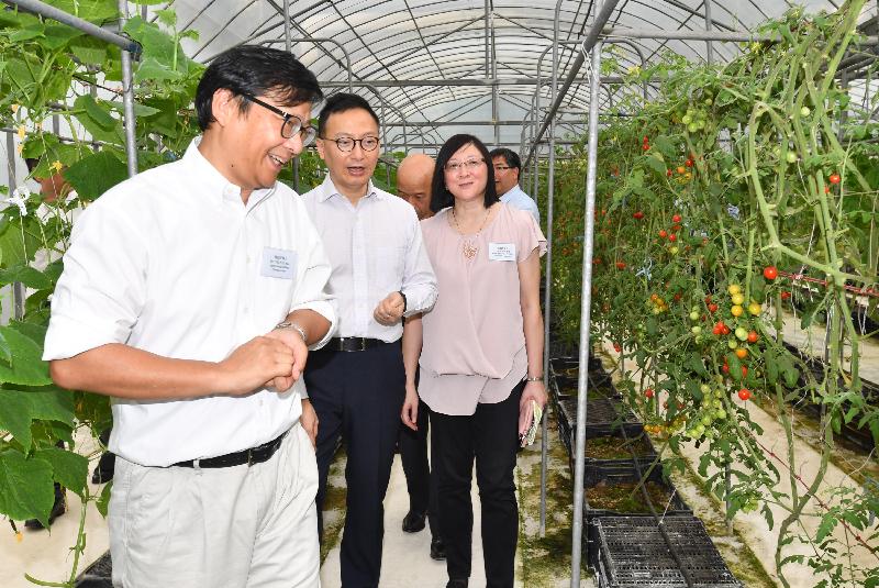 While visiting the greenhouse at the Tai Lung Experimental Station of the Agriculture, Fisheries and Conservation Department (AFCD) today (May 12), the Secretary for the Civil Service, Mr Clement Cheung (second left), is briefed on how the AFCD conducts studies to find and test production methods and crop varieties that suit the local environment.