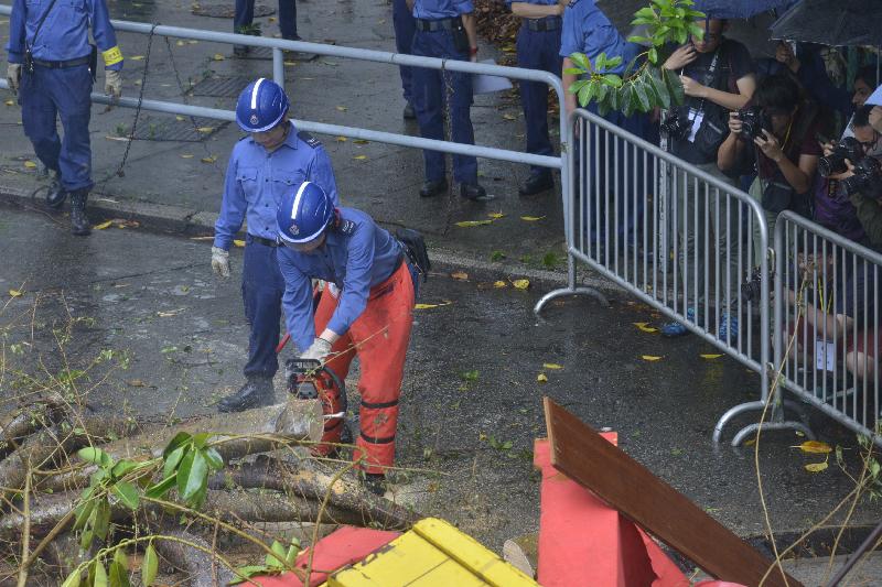 民眾安全服務隊（民安隊）兩年一度、為期兩日的大型演習「洋紫荊」今日（五月二十一日）圓滿結束。圖示颱風過後，民安隊使用鏈鋸清理阻塞主要通道的倒塌樹木。