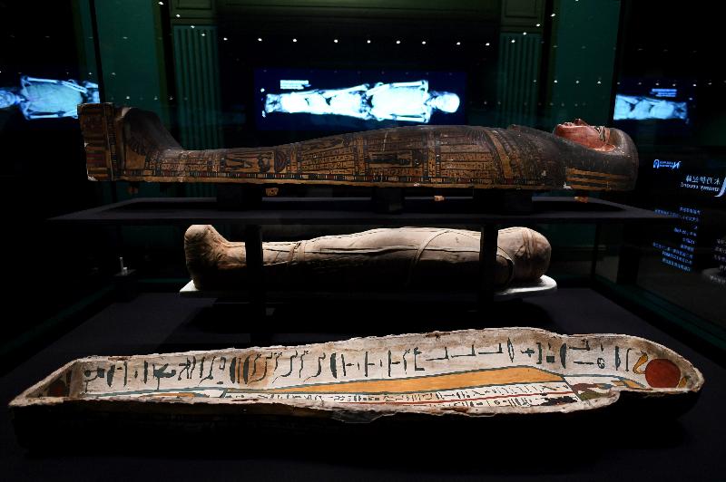 香港科學館本年度重點展覽「香港賽馬會呈獻系列：永生傳說－－透視古埃及文明」明日（六月二日）起舉行。圖示展品「內斯達華狄特的木乃伊和內棺木」（約公元前700至680年，大英博物館藏品），後方的顯示屏展示木乃伊的電腦斷層掃描影像。