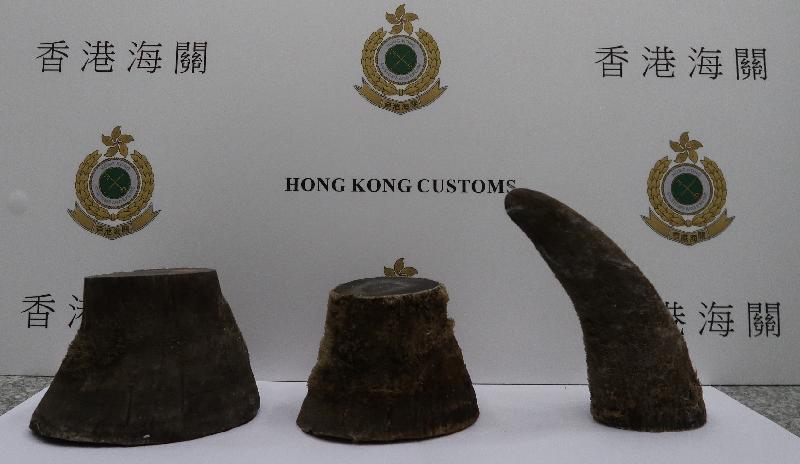 香港海关今日（六月九日）在香港国际机场检获约二点五公斤怀疑犀牛角，估计市值约五十万元。