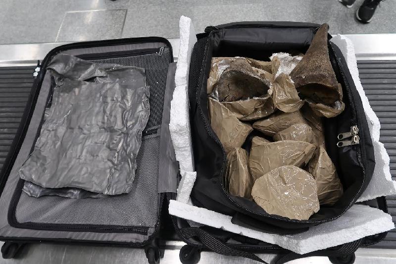 香港海关今日（六月十日）在香港国际机场检获约十点五公斤怀疑犀牛角，估计市值约二百一十万元。