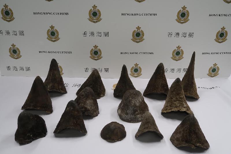 香港海关今日（六月十日）在香港国际机场检获约十点五公斤怀疑犀牛角，估计市值约二百一十万元。