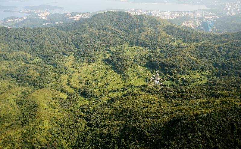 Sha Lo Tung has diverse habitat types including feng shui woodland, secondary woodland, agricultural land, grassland, shrubland, marshes and streams.
