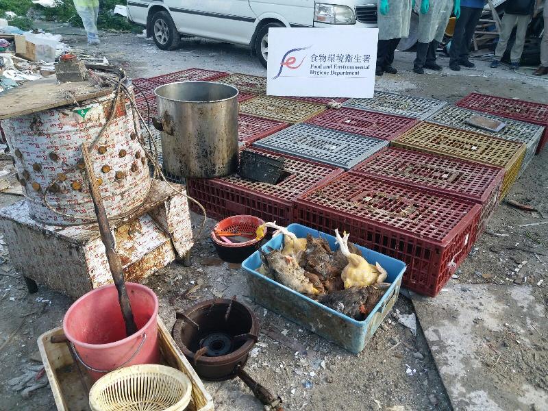 Food and Environmental Hygiene Department and Agriculture, Fisheries and Conservation Department officers raided an unlicensed food factory in Pak Sha Tsuen, Yuen Long, this morning (August 11). During the operation, 10 dressed chickens, 71 live chickens, plastic cages and tools used for slaughtering of poultry were seized.