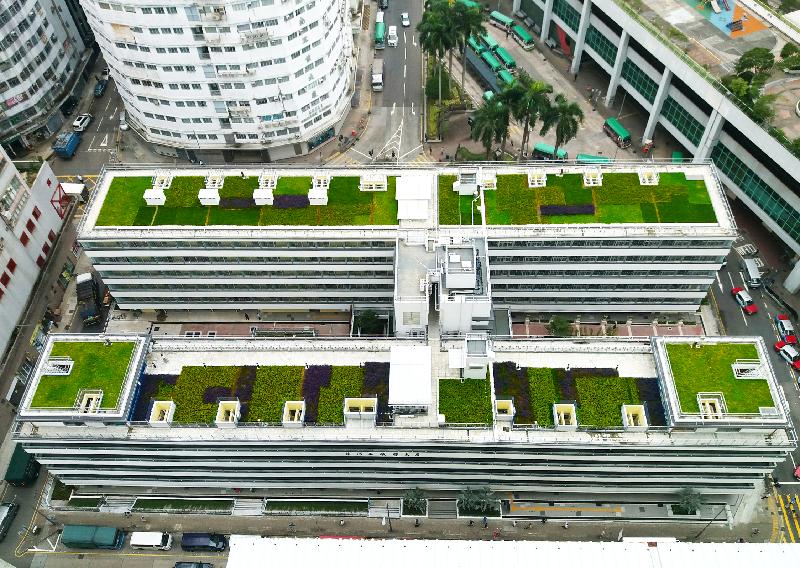 香港房屋委员会的公共租住房屋项目华厦邨在2017香港建筑师学会两岸四地建筑设计论坛及大奖的住宅组别获颁银奖，为今年该组别的最高荣誉。图示华厦邨的绿化天台。