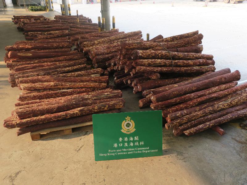 香港海关今日（八月三十一日）在葵涌海关大楼验货场的一个货柜内检获约一万三千三百八十公斤怀疑檀香紫檀木材，估计市值约九百三十万元。