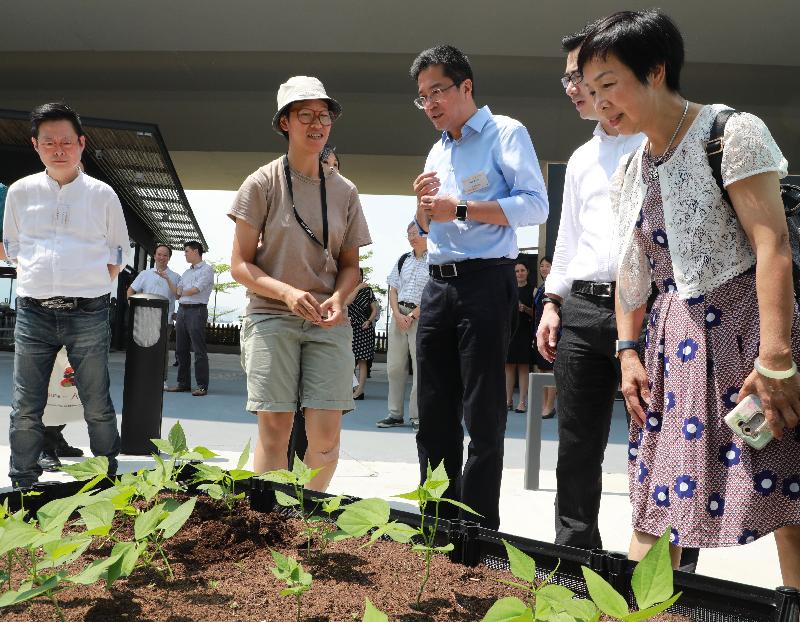 The Secretary for Development, Mr Michael Wong, today (September 16) officiated at the opening of Fly the Flyover 02 and 03 and the award presentation ceremony for Flyover Fantasy of the City Dress-up Public Art Competition. Photo shows Mr Wong (third right) visiting the urban farm at the Fly the Flyover 02.