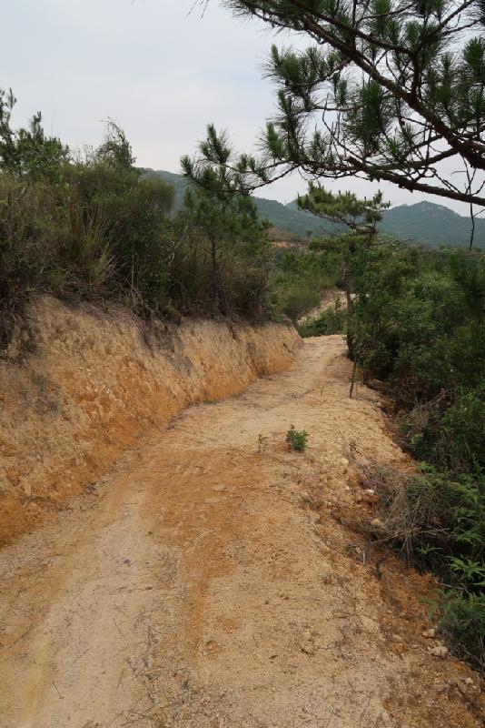 Two new sections of mountain bike trails in Tai Lam Country Park opened yesterday (September 23). The new section near Pak Shek Hang is about 700 metres long, and is rated as a green route, which is an easy trail suitable for beginner cyclists.