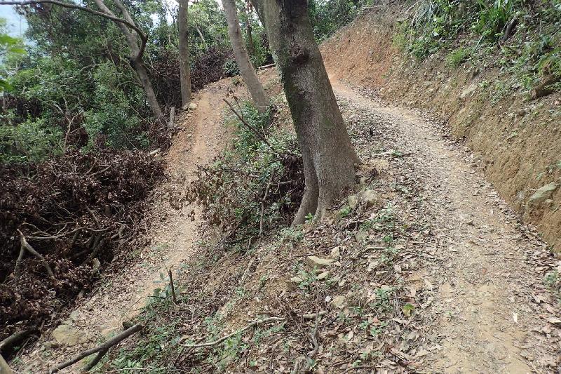 Two new sections of mountain bike trails in Tai Lam Country Park opened yesterday (September 23). The new section at the area commonly known as "Wong Keng Au" is a very difficult trail that requires users to be experienced and possess advanced skills and provides challenging features like climbing turns.