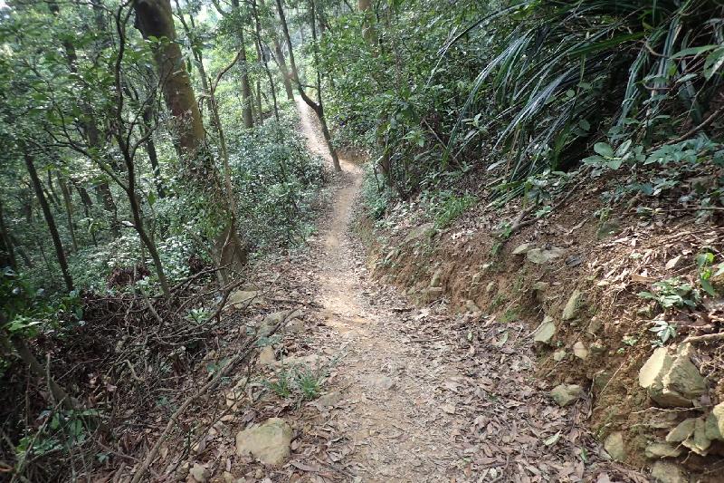 Two new sections of mountain bike trails in Tai Lam Country Park opened yesterday (September 23). Photo shows a part of the new section at the area commonly known as "Wong Keng Au" which is steep and only suitable for advanced bikers.