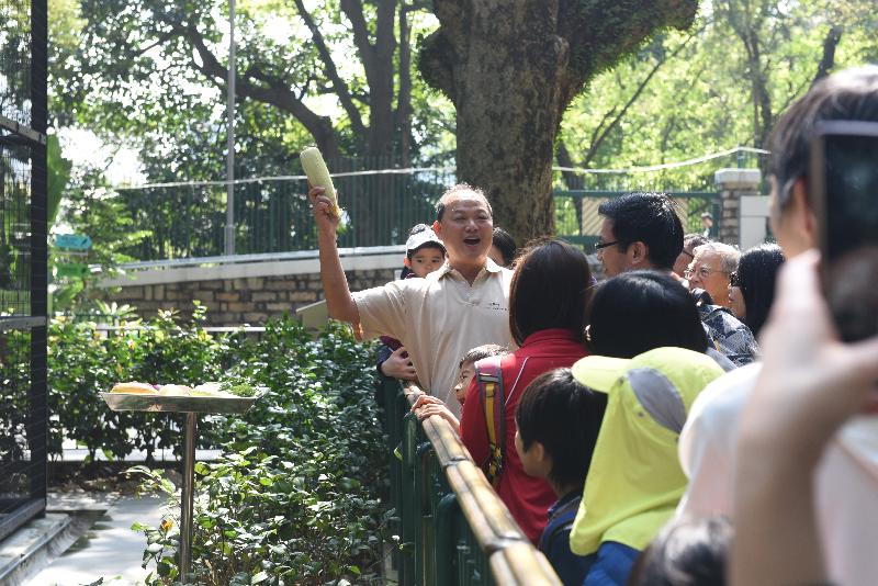 香港動植物公園十月一日及二日一連兩日舉辦「動物護理聚談」活動，市民可以近距離觀賞不同的靈長類動物和雀鳥。圖示園內資深動物飼養員與遊人分享日常照顧動物的心得。
