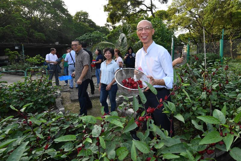 The Secretary for the Environment, Mr Wong Kam-sing (first right), visits the Food Recycle Land Education Centre run by the Cheung Chau Island Women's Association in Cheung Chau today (September 27). By making use of food waste processors, the collected household food waste is turned into fertiliser for planting vegetables at the Centre and for distribution to residents in Cheung Chau and farms elsewhere for free.