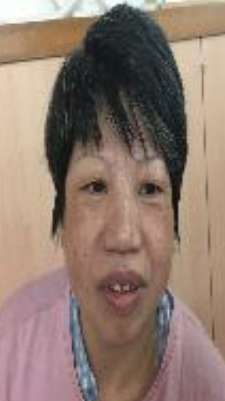 Missing woman Hung Mui-lan