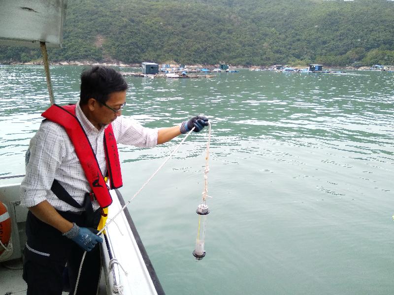 The Agriculture, Fisheries and Conservation Department (AFCD) carried out an exercise from October 31 till today (November 6) to review the department's preparedness in combating red tide or harmful algal bloom (HAB) causing fish kill in Hong Kong. Photo shows a staff member from the AFCD collecting a sample from a fish culture zone for assessing the extent of HAB.