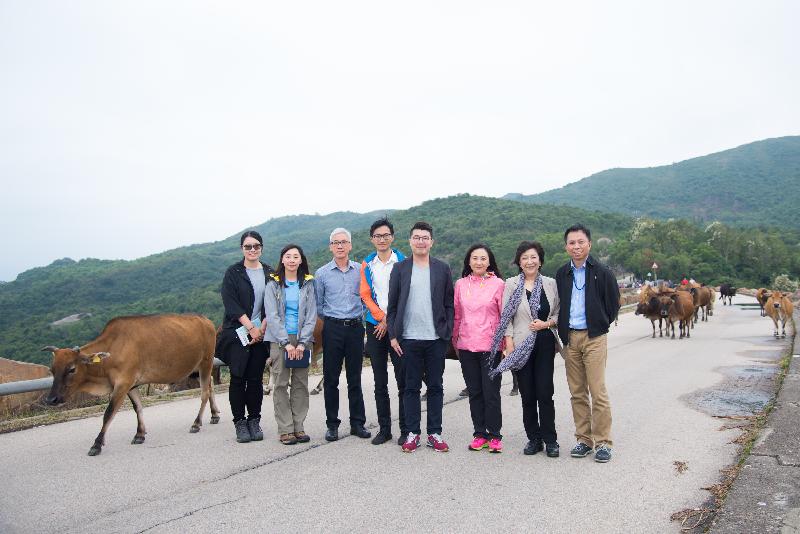 Accompanied by representatives of the Food and Health Bureau and the Agriculture, Fisheries and Conservation Department, the Legislative Council Subcommittee to Study Issues Relating to Animal Rights learns more about the Government's work in managing stray cattle at the Chong Hing Water Sports Centre in Sai Kung today (November 14).