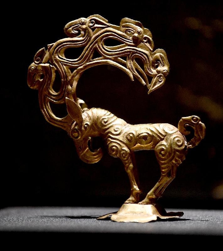 「綿亙萬里——世界遺產絲綢之路」展覽今日（十一月二十八日）於香港歷史博物館開幕。圖為展覽中展示的國家一級文物「金神獸」。
